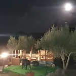 Rosa In Surrau 4*