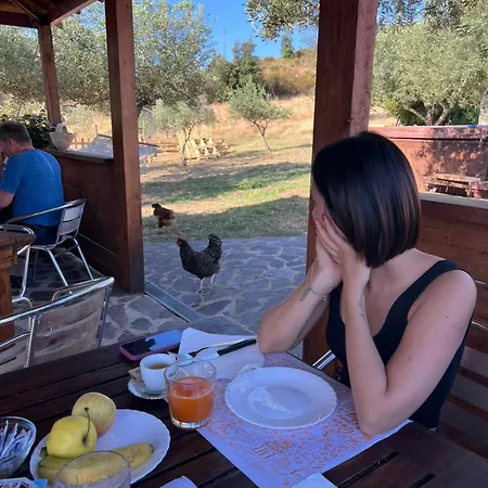 Πανσιόν Rosa In Surrau 4*