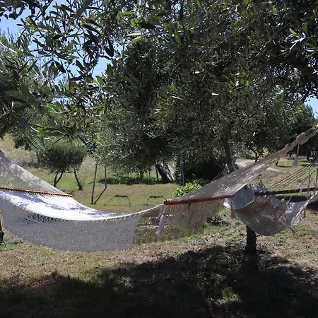 Rosa In Surrau Arzachena