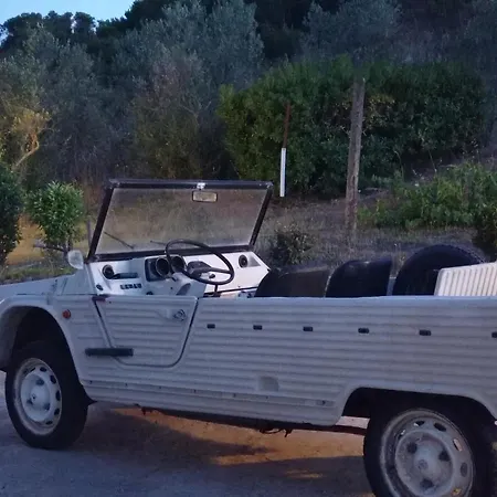 Rosa In Surrau 3* アルツァケーナ