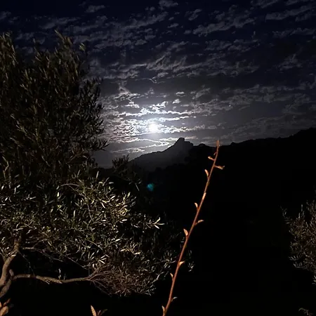 ゲストハウス Rosa In Surrau 3*